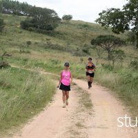 studio s 443